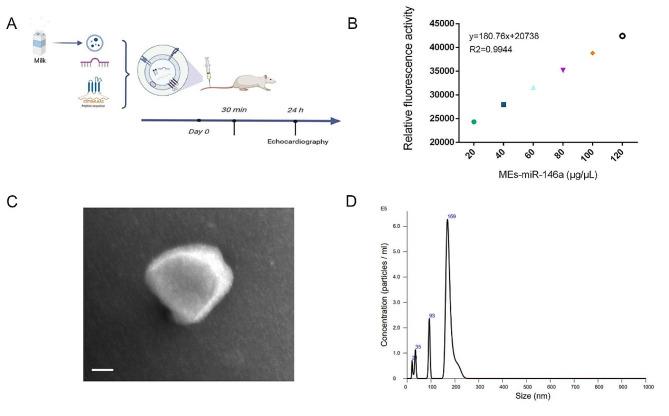 https://cdn.ncbi.nlm.nih.gov/pmc/blobs/68c9/11218161/1436cce0e94d/12951_2024_2631_Fig7_HTML.jpg