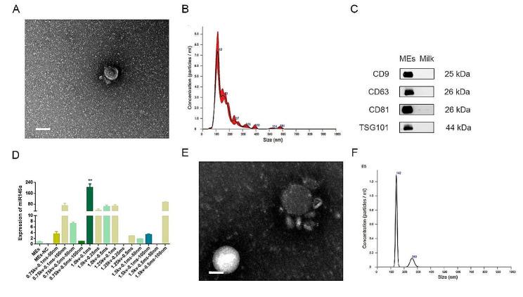 https://cdn.ncbi.nlm.nih.gov/pmc/blobs/68c9/11218161/217bec341358/12951_2024_2631_Fig1_HTML.jpg