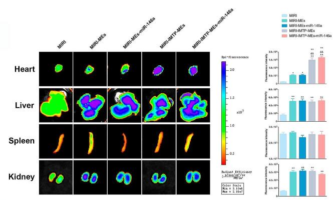 https://cdn.ncbi.nlm.nih.gov/pmc/blobs/68c9/11218161/2e78d4175ff7/12951_2024_2631_Fig8_HTML.jpg