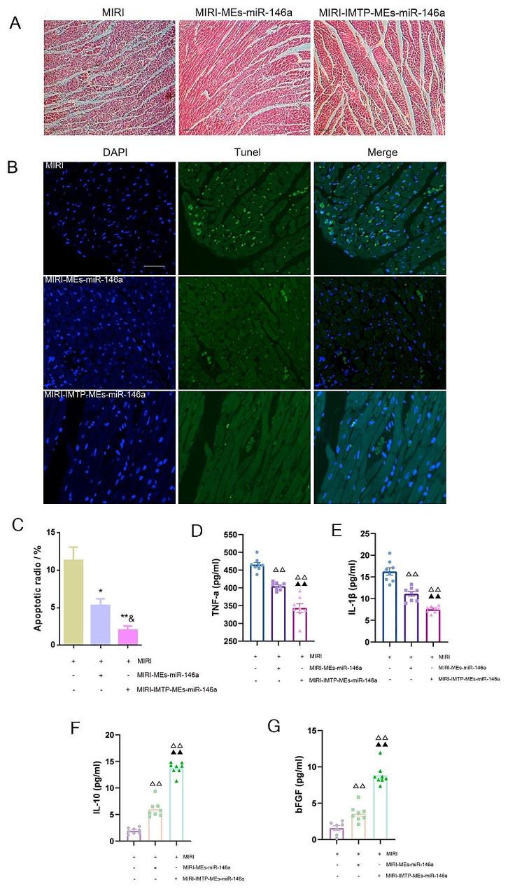 https://cdn.ncbi.nlm.nih.gov/pmc/blobs/68c9/11218161/8734750495e0/12951_2024_2631_Fig10_HTML.jpg