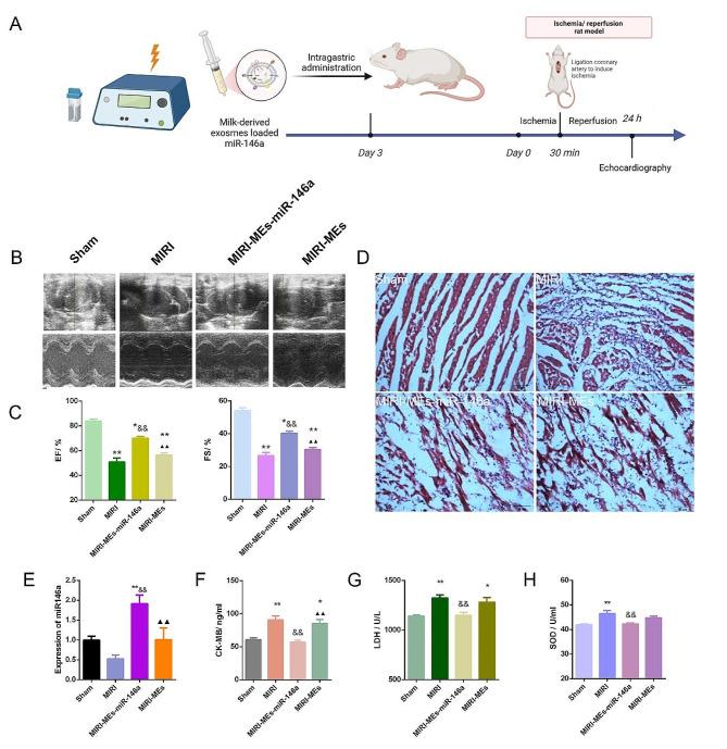 https://cdn.ncbi.nlm.nih.gov/pmc/blobs/68c9/11218161/939c401ee7d1/12951_2024_2631_Fig4_HTML.jpg