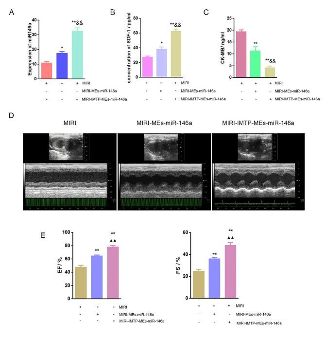 https://cdn.ncbi.nlm.nih.gov/pmc/blobs/68c9/11218161/a81587fb3cf1/12951_2024_2631_Fig9_HTML.jpg
