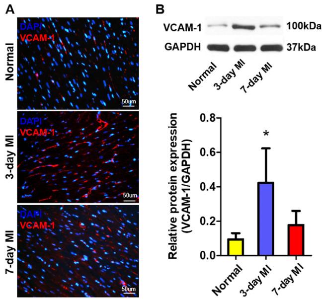 https://cdn.ncbi.nlm.nih.gov/pmc/blobs/68ca/10899882/324416b6e37d/ijsc-17-1-70-f1.jpg