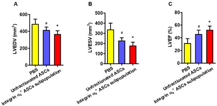https://cdn.ncbi.nlm.nih.gov/pmc/blobs/68ca/10899882/3a15582161e7/ijsc-17-1-70-f7.jpg
