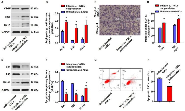 https://cdn.ncbi.nlm.nih.gov/pmc/blobs/68ca/10899882/77676e5ec716/ijsc-17-1-70-f3.jpg