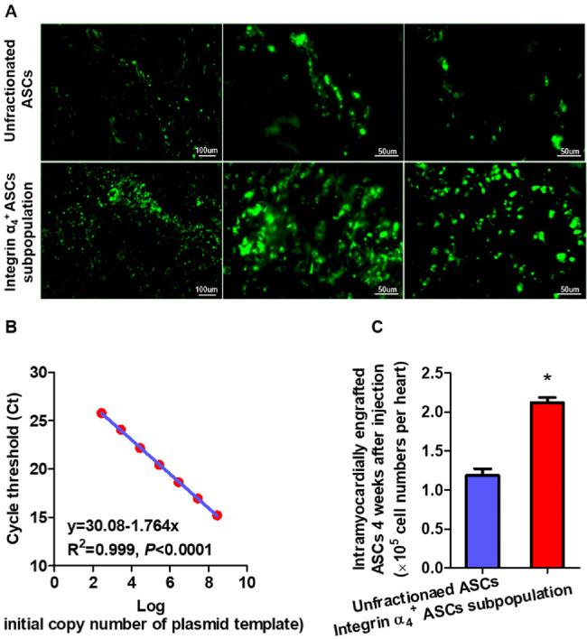 https://cdn.ncbi.nlm.nih.gov/pmc/blobs/68ca/10899882/93b519204ae5/ijsc-17-1-70-f5.jpg