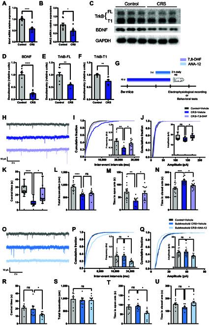 https://cdn.ncbi.nlm.nih.gov/pmc/blobs/68ca/12329215/8a510bffa384/research.0818.fig.004.jpg