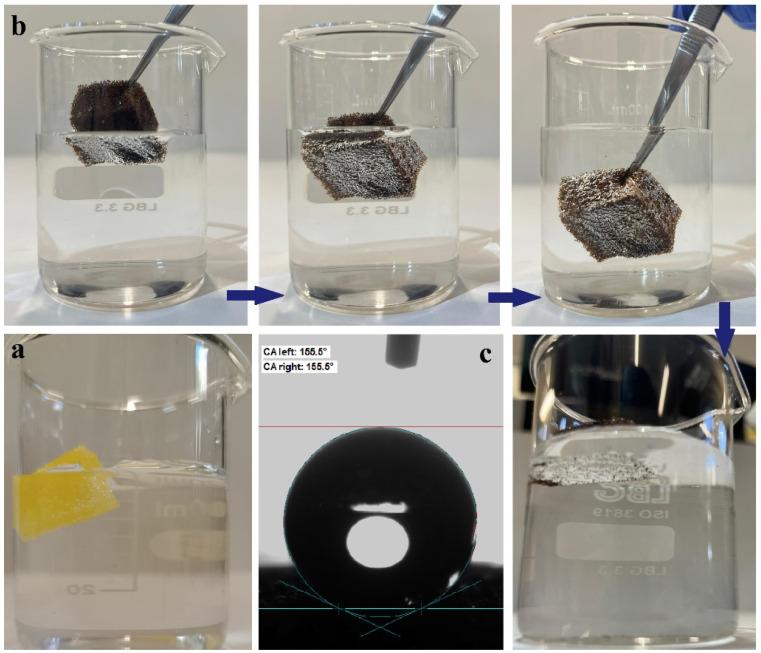 https://cdn.ncbi.nlm.nih.gov/pmc/blobs/68ce/11643525/0028e62af226/nanomaterials-14-01942-g007.jpg