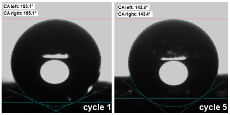 https://cdn.ncbi.nlm.nih.gov/pmc/blobs/68ce/11643525/3afdb6f4caa5/nanomaterials-14-01942-g010.jpg