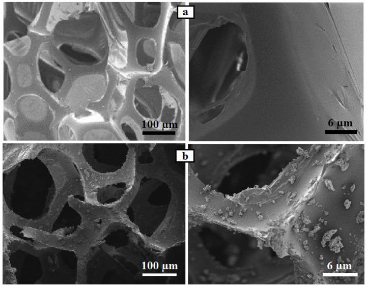 https://cdn.ncbi.nlm.nih.gov/pmc/blobs/68ce/11643525/6a6221039e99/nanomaterials-14-01942-g006.jpg