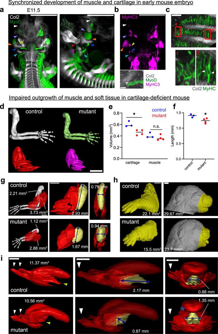 https://cdn.ncbi.nlm.nih.gov/pmc/blobs/68d1/10224984/8c678c4f598d/41467_2023_38647_Fig3_HTML.jpg