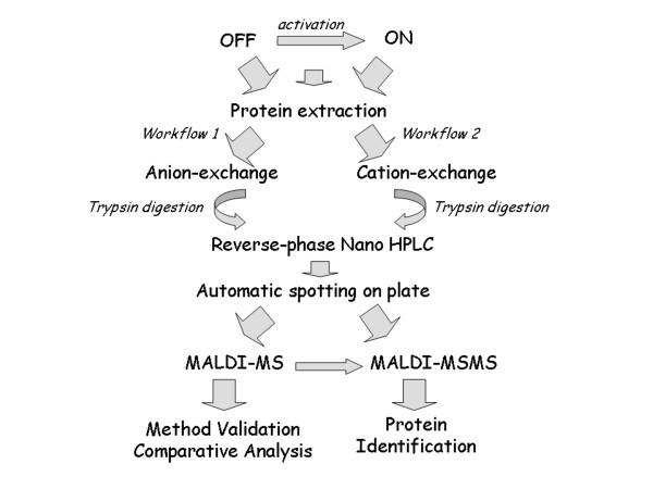 https://cdn.ncbi.nlm.nih.gov/pmc/blobs/68d1/2858725/1fef8e65bbec/1477-5956-8-15-1.jpg