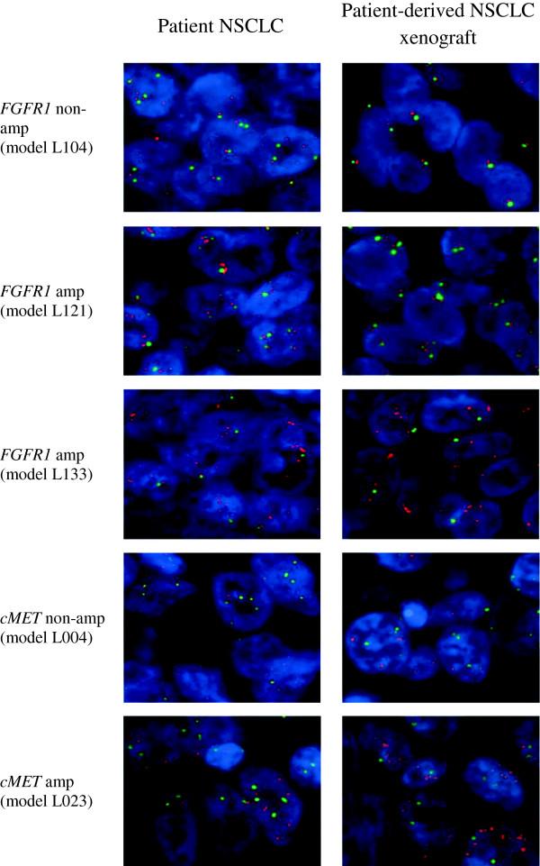 https://cdn.ncbi.nlm.nih.gov/pmc/blobs/68d2/3716998/39668848989a/1479-5876-11-168-2.jpg