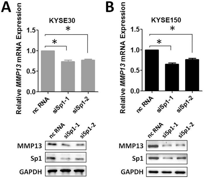 https://cdn.ncbi.nlm.nih.gov/pmc/blobs/68d5/4887914/0abbb5aa7864/srep27013-f4.jpg