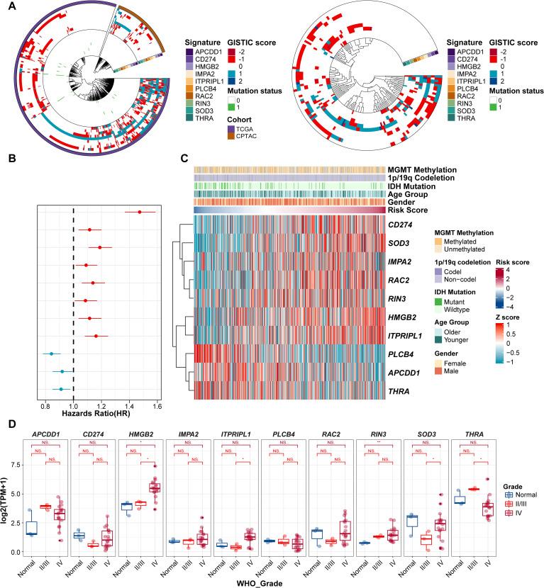 https://cdn.ncbi.nlm.nih.gov/pmc/blobs/68d6/12368592/4629face9d6c/fimmu-16-1610683-g002.jpg