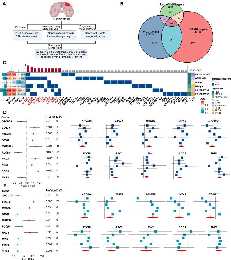 https://cdn.ncbi.nlm.nih.gov/pmc/blobs/68d6/12368592/5be6f64c98e6/fimmu-16-1610683-g001.jpg