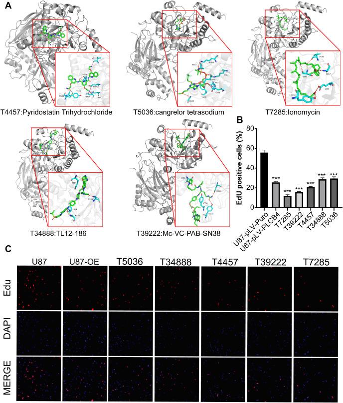 https://cdn.ncbi.nlm.nih.gov/pmc/blobs/68d6/12368592/7dffa5ab5152/fimmu-16-1610683-g007.jpg