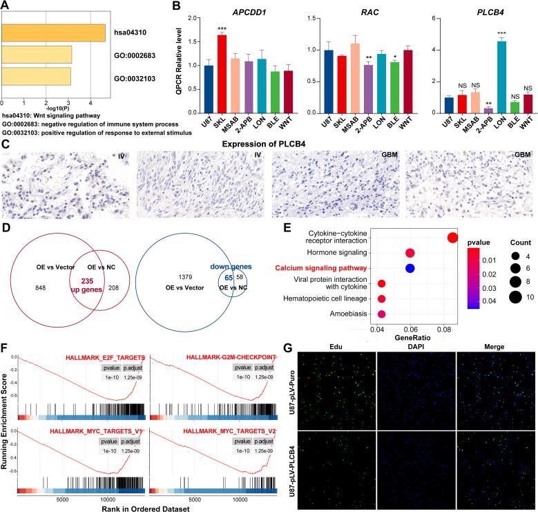 https://cdn.ncbi.nlm.nih.gov/pmc/blobs/68d6/12368592/a5d75fd0415f/fimmu-16-1610683-g006.jpg