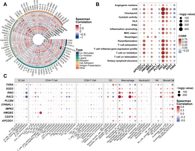 https://cdn.ncbi.nlm.nih.gov/pmc/blobs/68d6/12368592/b98603cda6d4/fimmu-16-1610683-g004.jpg