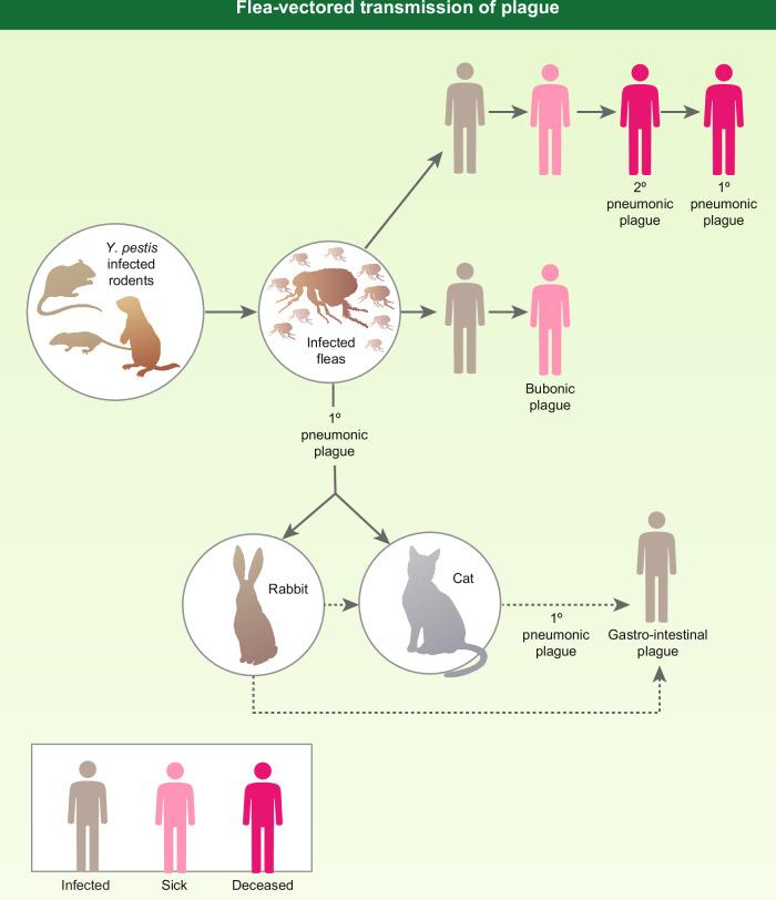 https://cdn.ncbi.nlm.nih.gov/pmc/blobs/68d8/11379892/9066b5acd7ff/41541_2024_958_Fig1_HTML.jpg