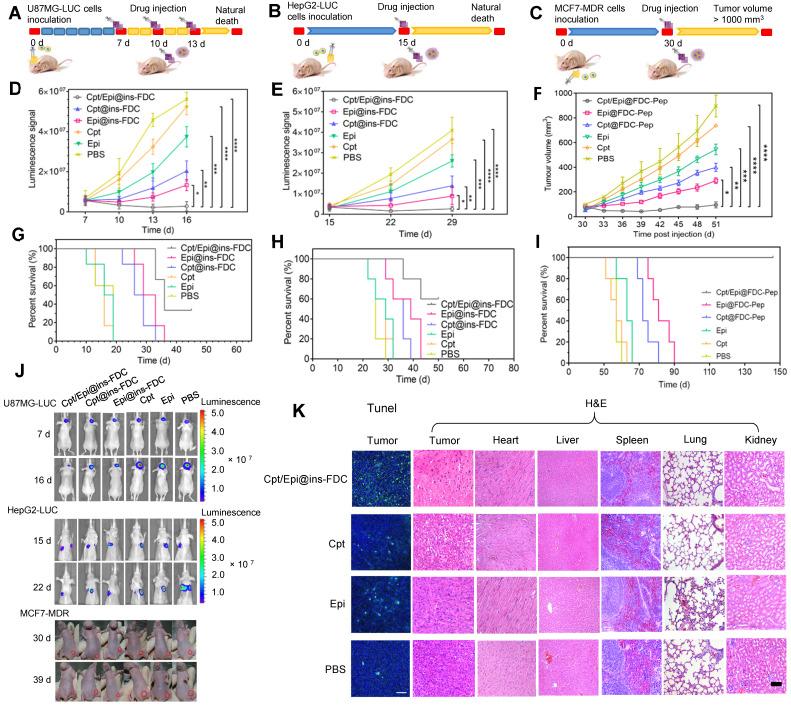 https://cdn.ncbi.nlm.nih.gov/pmc/blobs/68db/8825595/7963d4495b28/thnov12p1800g008.jpg