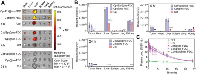 https://cdn.ncbi.nlm.nih.gov/pmc/blobs/68db/8825595/d59bf312fc07/thnov12p1800g006.jpg