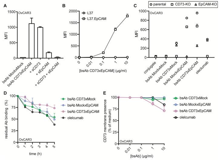 https://cdn.ncbi.nlm.nih.gov/pmc/blobs/68dd/10378099/0a967e174220/cancers-15-03651-g001.jpg