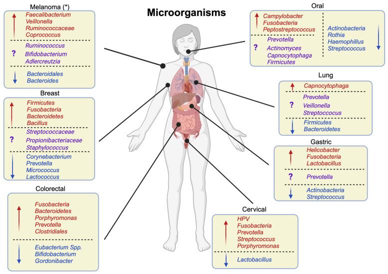 https://cdn.ncbi.nlm.nih.gov/pmc/blobs/68dd/10531294/d0b42c3d501e/ijms-24-13786-g003.jpg