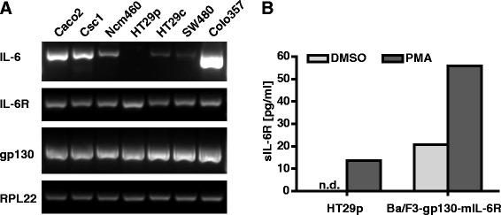https://cdn.ncbi.nlm.nih.gov/pmc/blobs/68dd/4682226/2b9e5b4c712f/12885_2015_1950_Fig1_HTML.jpg