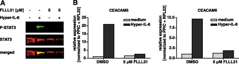 https://cdn.ncbi.nlm.nih.gov/pmc/blobs/68dd/4682226/ece2863b50c5/12885_2015_1950_Fig5_HTML.jpg