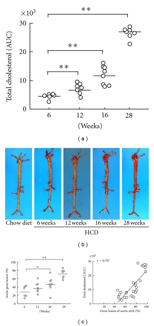 https://cdn.ncbi.nlm.nih.gov/pmc/blobs/68df/3312324/125e9149c553/JBB2012-506159.002.jpg