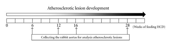 https://cdn.ncbi.nlm.nih.gov/pmc/blobs/68df/3312324/7feba8ed3632/JBB2012-506159.001.jpg