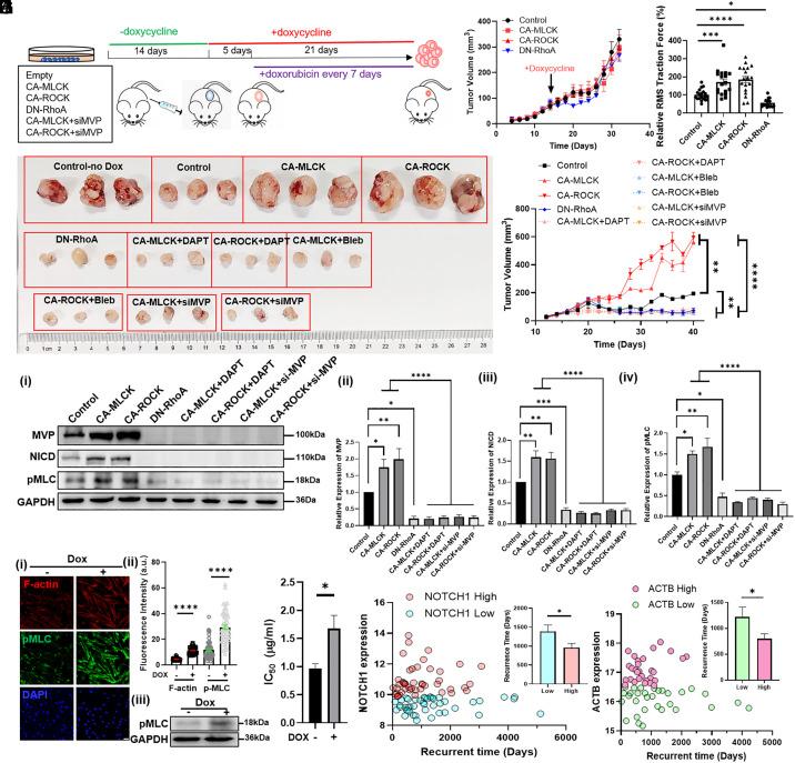 https://cdn.ncbi.nlm.nih.gov/pmc/blobs/68e0/12088414/8e6b9d2b4a73/pnas.2417626122fig05.jpg