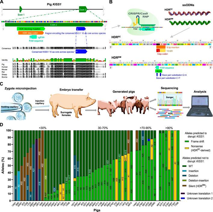https://cdn.ncbi.nlm.nih.gov/pmc/blobs/68e3/9854396/e31692024534/fgene-13-1078991-g001.jpg