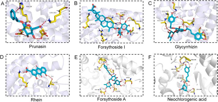 https://cdn.ncbi.nlm.nih.gov/pmc/blobs/68e5/7838027/e08f7056d893/gr8.jpg