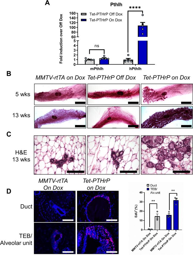 https://cdn.ncbi.nlm.nih.gov/pmc/blobs/68e6/9020078/6d1020c535a4/13058_2022_1523_Fig1_HTML.jpg