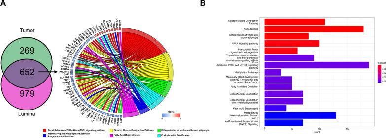 https://cdn.ncbi.nlm.nih.gov/pmc/blobs/68e6/9020078/d3b440046f3f/13058_2022_1523_Fig7_HTML.jpg