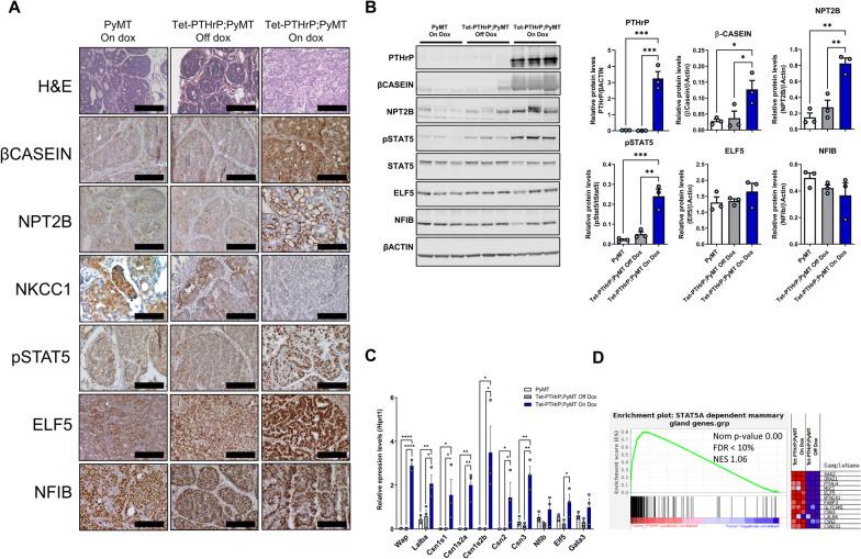 https://cdn.ncbi.nlm.nih.gov/pmc/blobs/68e6/9020078/f68f9c32adcf/13058_2022_1523_Fig6_HTML.jpg