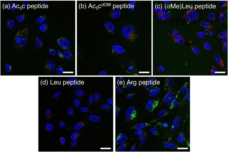 https://cdn.ncbi.nlm.nih.gov/pmc/blobs/68e7/6362038/0e13ecd9bd6d/41598_2018_38063_Fig6_HTML.jpg