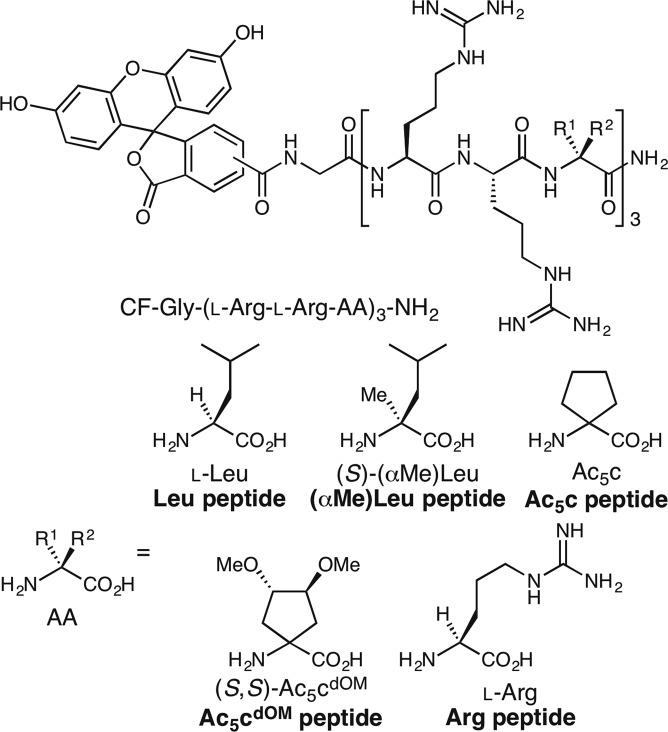 https://cdn.ncbi.nlm.nih.gov/pmc/blobs/68e7/6362038/9a485875f0b0/41598_2018_38063_Fig1_HTML.jpg