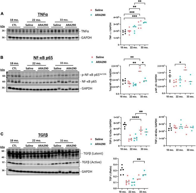 https://cdn.ncbi.nlm.nih.gov/pmc/blobs/68eb/9889362/18cb01384a61/fcvm-09-1096887-g006.jpg