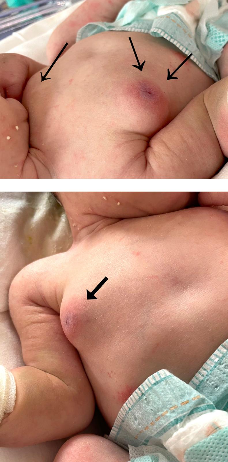https://cdn.ncbi.nlm.nih.gov/pmc/blobs/68ec/8318999/15c1c0543c52/gr1.jpg