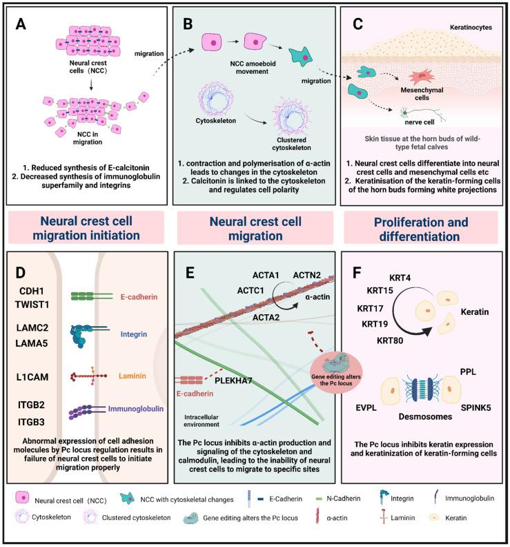 https://cdn.ncbi.nlm.nih.gov/pmc/blobs/68ec/9603690/a3e5ecffeae6/ijms-23-12060-g009.jpg