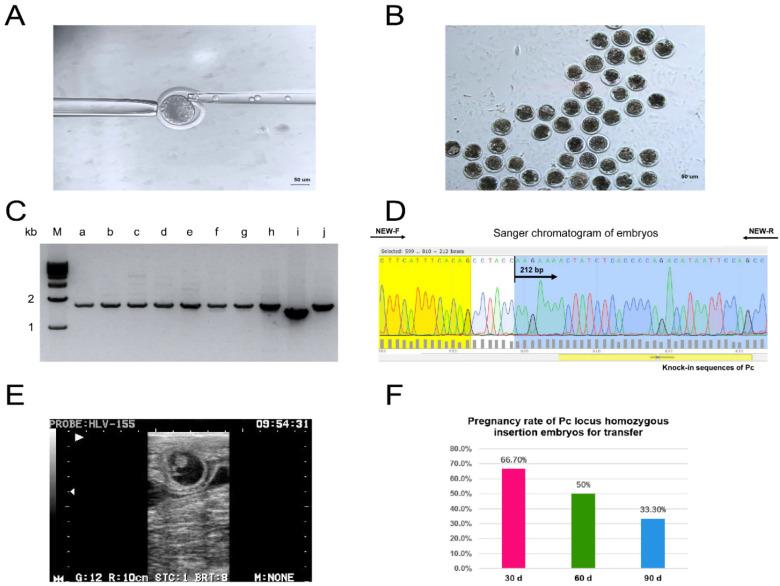 https://cdn.ncbi.nlm.nih.gov/pmc/blobs/68ec/9603690/fd1523d295bf/ijms-23-12060-g001.jpg