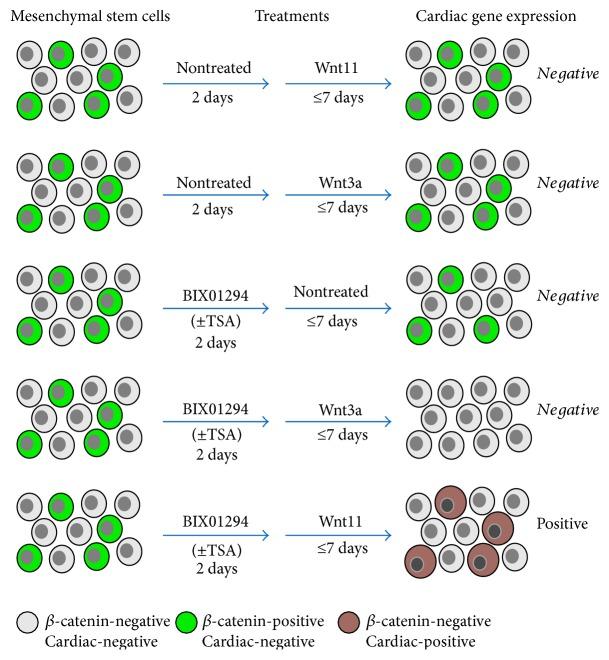 https://cdn.ncbi.nlm.nih.gov/pmc/blobs/68ef/5534312/e74db0e7e702/SCI2017-3464953.010.jpg