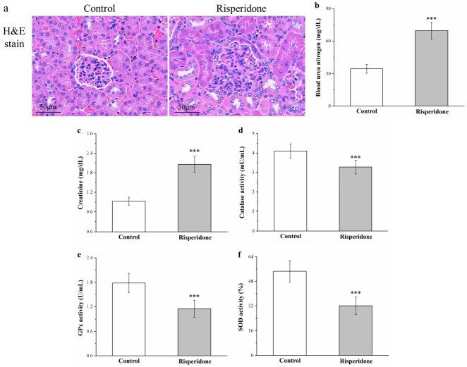 https://cdn.ncbi.nlm.nih.gov/pmc/blobs/68ef/7795724/5b180085bf1a/ijms-22-00409-g008.jpg