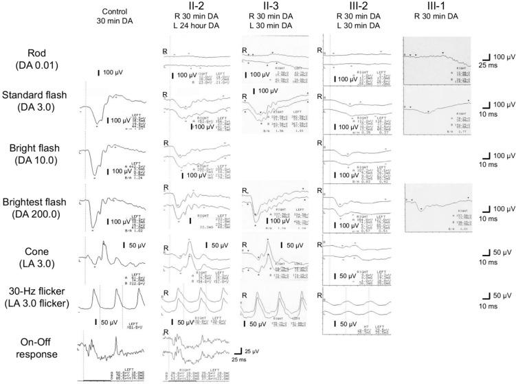 https://cdn.ncbi.nlm.nih.gov/pmc/blobs/68f1/11420330/ecb4dcda4afd/10384_2024_1109_Fig7_HTML.jpg