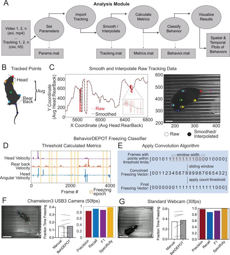 https://cdn.ncbi.nlm.nih.gov/pmc/blobs/68f2/9398447/88ee060cb537/elife-74314-fig2.jpg