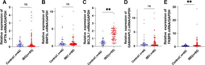 https://cdn.ncbi.nlm.nih.gov/pmc/blobs/68f4/12149258/232440f121bc/431_2025_6213_Fig2_HTML.jpg