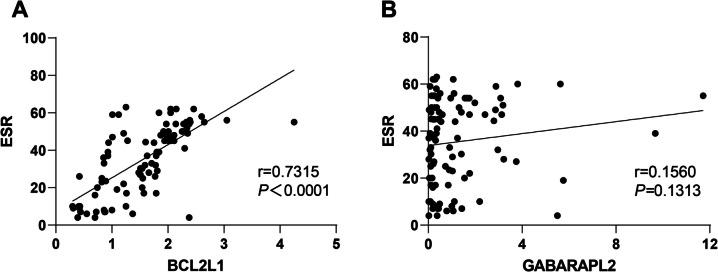 https://cdn.ncbi.nlm.nih.gov/pmc/blobs/68f4/12149258/71ee1861ae59/431_2025_6213_Fig6_HTML.jpg